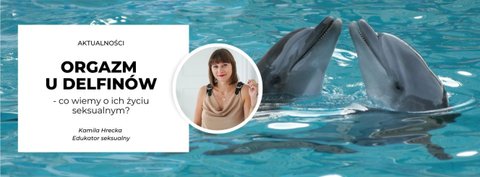 Orgazm u delfinów: Co wiemy o ich życiu seksualnym?