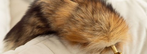 Lis, królik czy wilk? Znajdź swój ogon